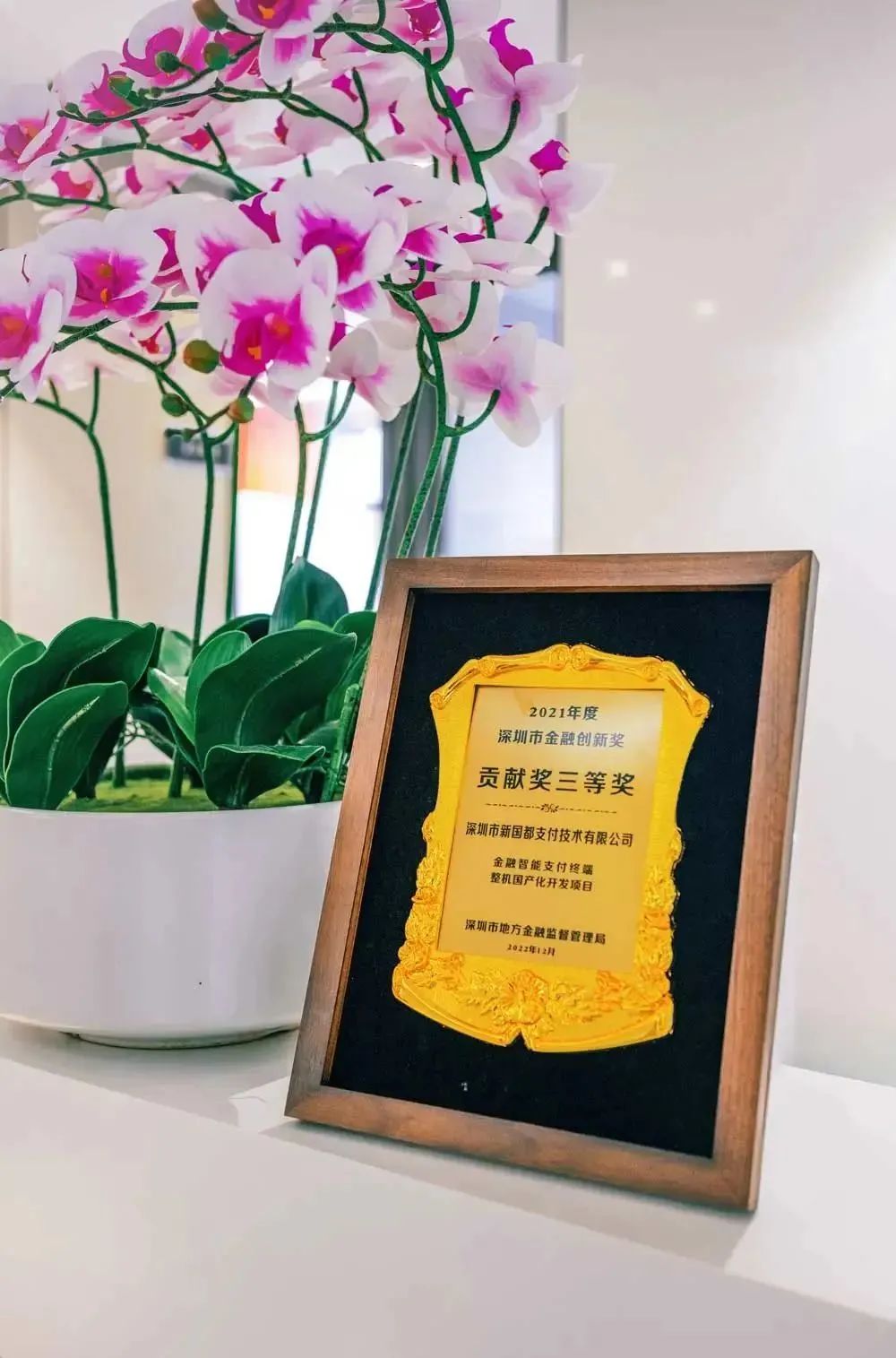 ag������ַ(�й�)����