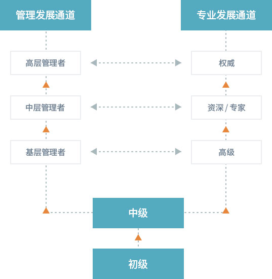 ag������ַ(�й�)����